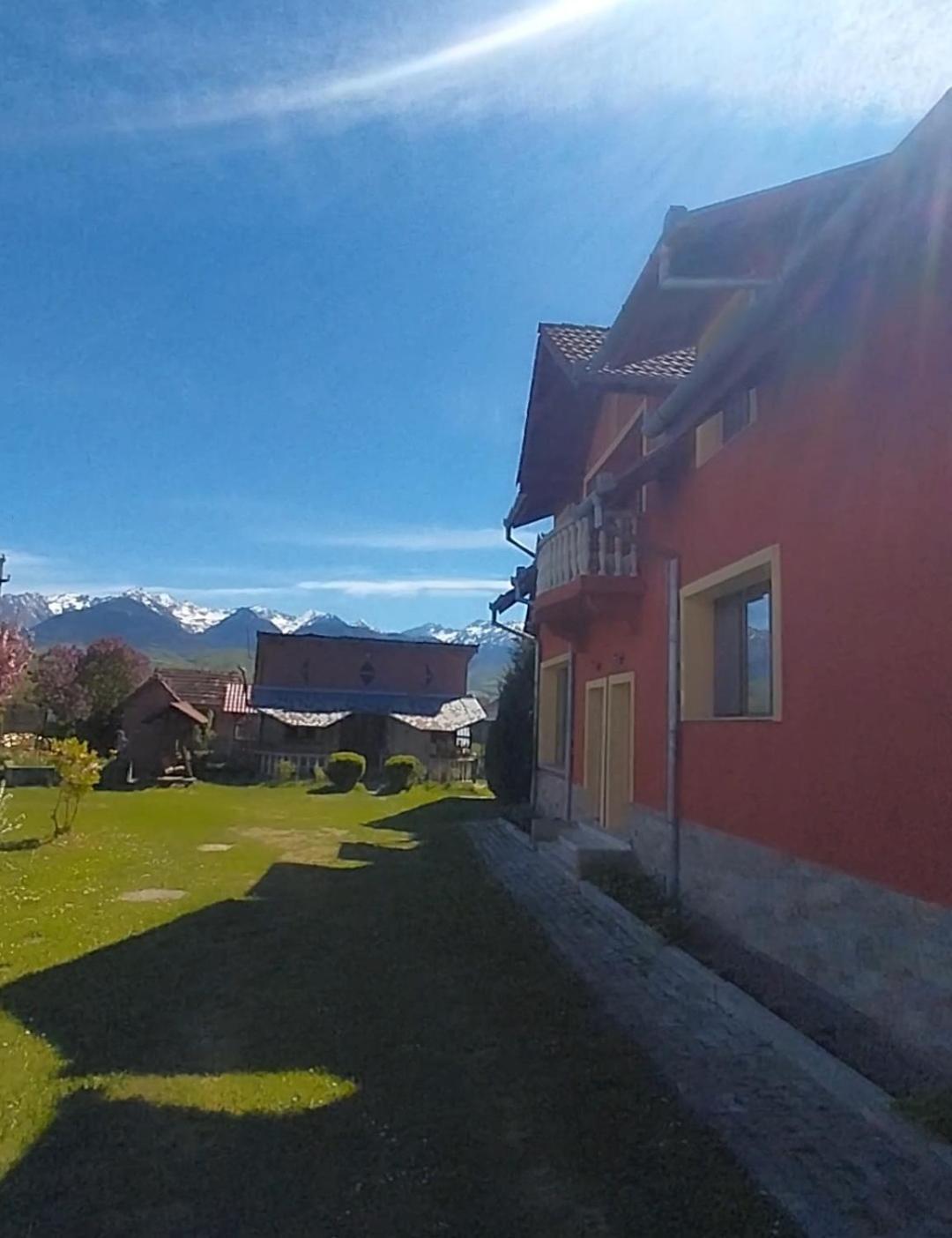 Serena House Cartisoara Luaran gambar