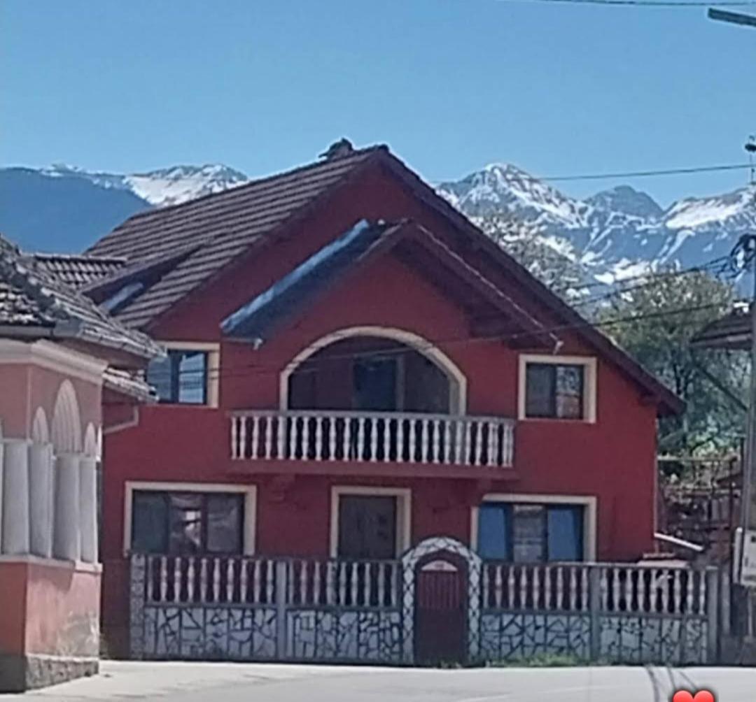 Serena House Cartisoara Luaran gambar